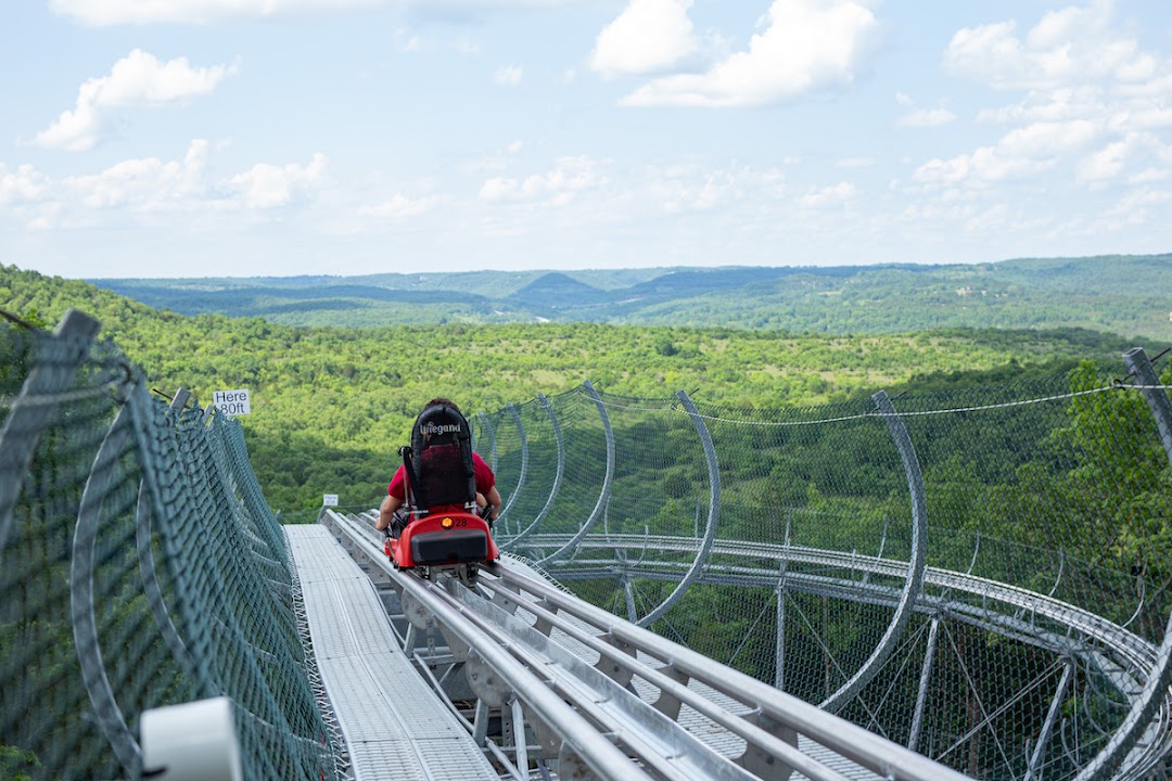 Copperhead Mountain Coaster
